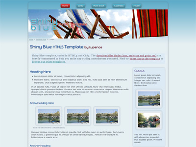 Shiny Blue website template