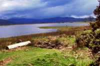 Bassenthwaite